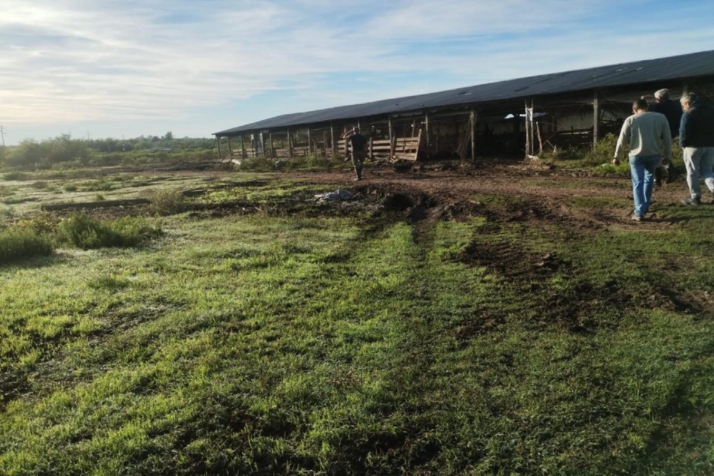 Comprobaron que se cometió contaminación ambiental y clausuraron el lugar.