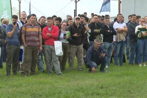 1° Jornada Regional de Control de Malezas - EEA INTA Paraná