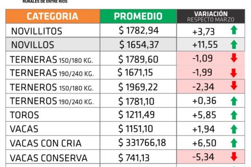 Vaquillas y novillos lideraron las subas de precios en la provincia, y terneras y vacas las bajas