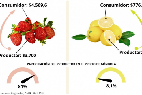 Del campo a la góndola, los precios de los agroalimentos, según CAME, se multiplicaron por 3,5 veces