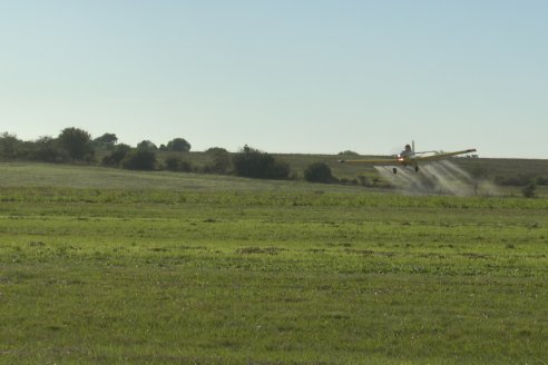 46 Jornada de Buenas Prácticas de Aplicación de Productos Fitosanitarios - Aeroclub Paraná