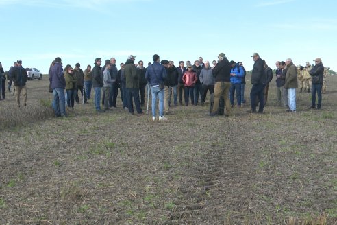 46 Jornada de Buenas Prácticas de Aplicación de Productos Fitosanitarios - Aeroclub Paraná