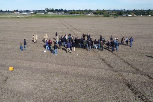 46 Jornada de Buenas Prácticas de Aplicación de Productos Fitosanitarios - Aeroclub Paraná