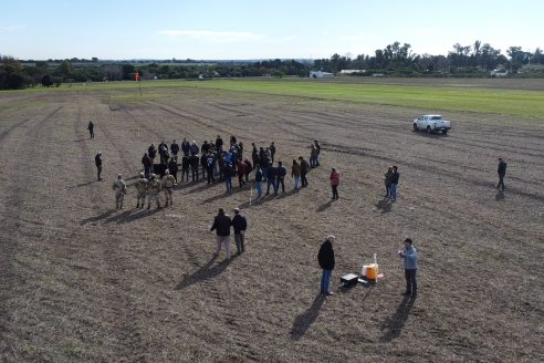 46 Jornada de Buenas Prácticas de Aplicación de Productos Fitosanitarios - Aeroclub Paraná