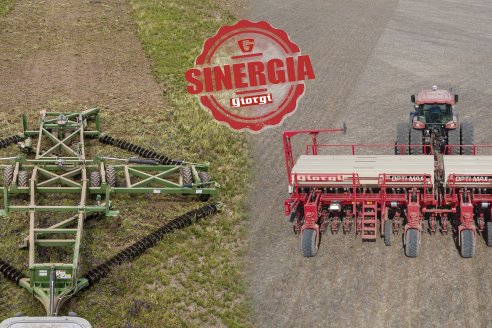 DESCUBRÍ LA SINERGIA GIORGI