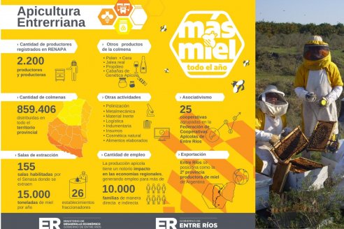 Este miércoles es el Día de la Apicultura Entrerriana