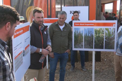 KWS, semillas de alto rendimiento y asesoramiento integral