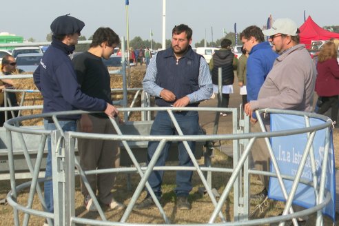 Sean Metal, soluciones metalúrgicas para manejar ganado