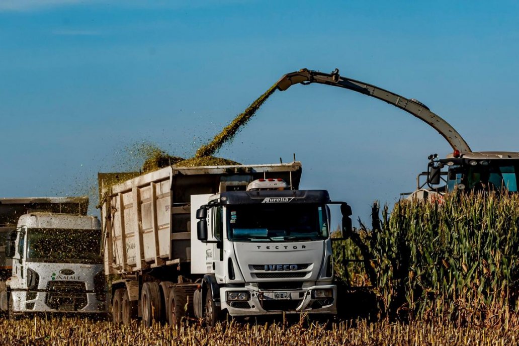 Al esquena federal se suman las Experimentales Uruguay y Paraná de INTA. Al esquena federal se suman las Experimentales Uruguay y Paraná de INTA.