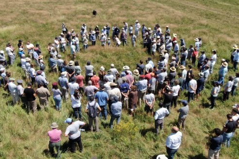 Llega Regenera Latam, una cumbre que reunirá a productores agropecuarios y empresas por la regeneración