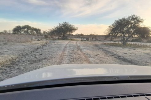 Ya se siente el afloje de la ola polar, en especial sobre el sur del país
