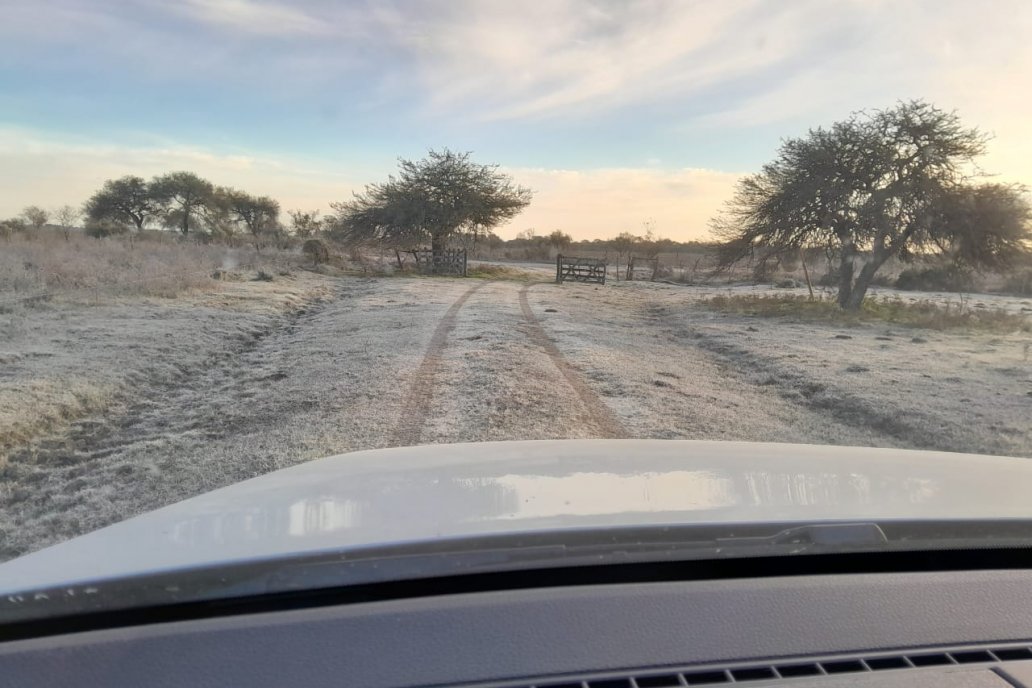 En Entre Ríos dolió la crudeza, pero fue poco en comparación a la Patagonia. En Entre Ríos dolió la crudeza, pero fue poco en comparación a la Patagonia.