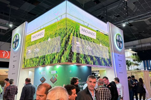 Innovación, Digitalización y el Potencial del Maíz, en el centro de la Agricultura Regenerativa