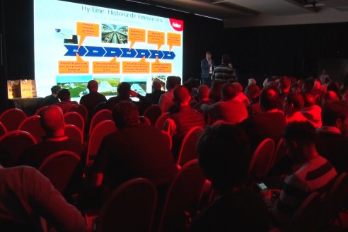 En 30 años, Argentina duplicó el consumo de huevos y desde el Grupo Motta van por más