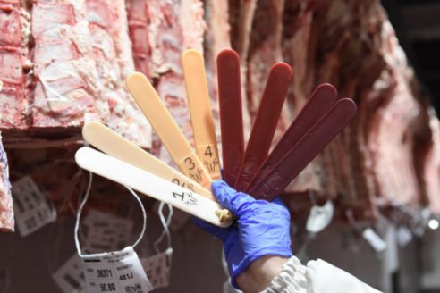 Avanza el plan para tipificar la totalidad de la carne bovina que se faena en la Argentina