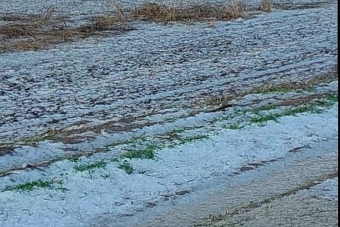 El escenario climático es delicado en toda la zona núcleo