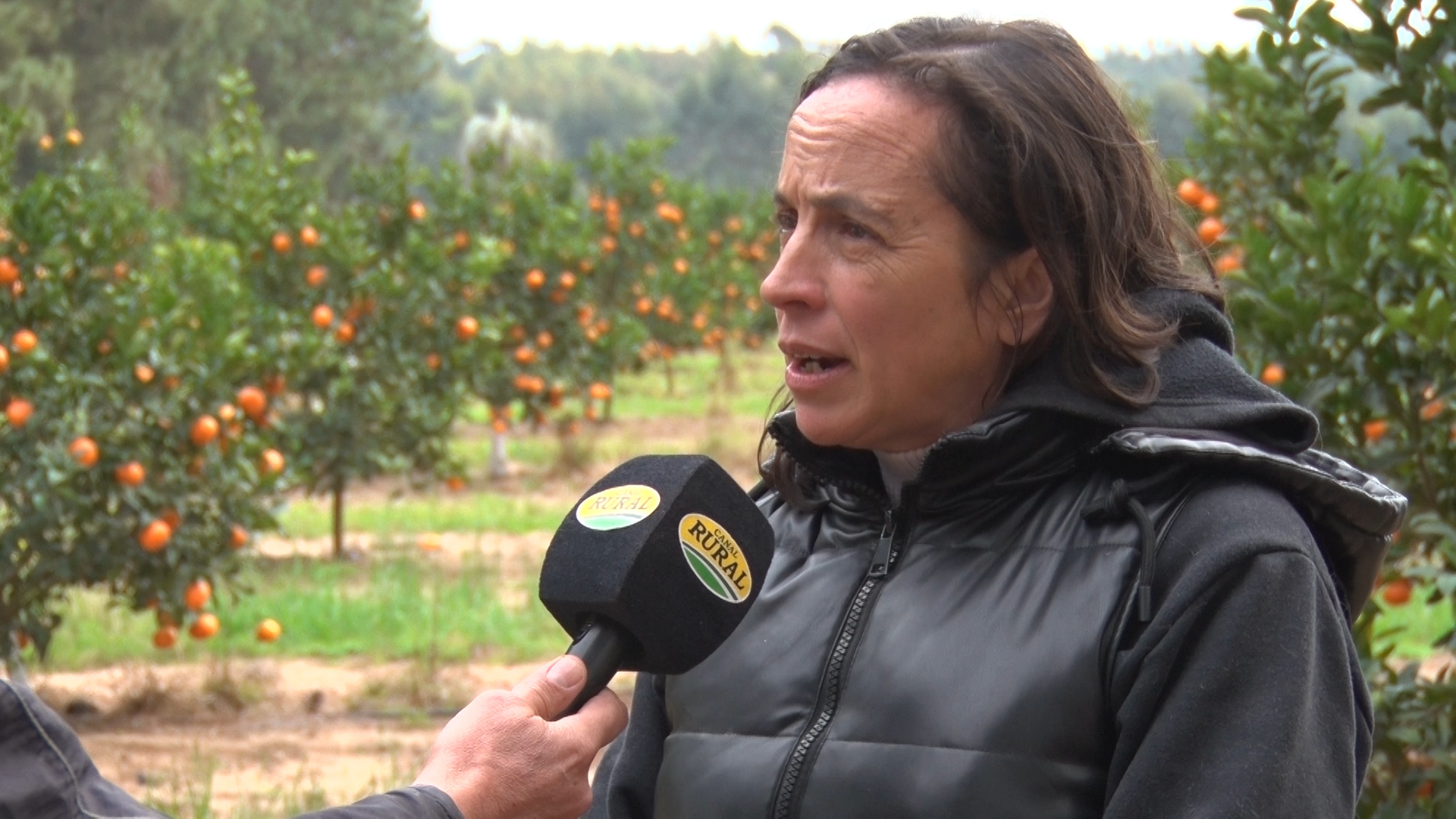 Melania Zorzi: Hay un freno de consumo de citrus que asusta