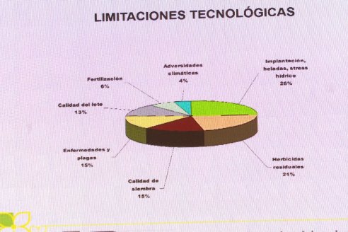 1er. Simposio Argentino de Colza y otras Brasicaceas - Centro Provincial de Convenciones  - Paraná, Entre Ríos