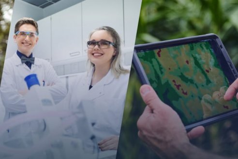 20 startups de Cono Sur fueron seleccionadas como finalistas del programa Legado de BAYER