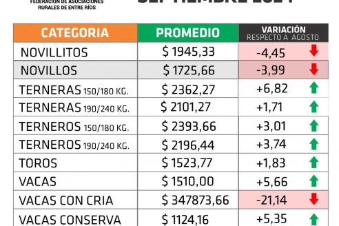 El precio de la hacienda en pie bajó algo más del 6% en Entre Ríos