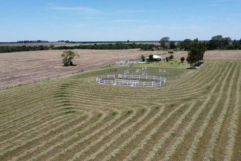 Miden que retrocede el nivel de confianza del agro en el gobierno