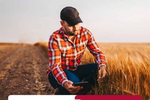 La tecnología blockchain llega al campo de la mano de Banco Entre Ríos y Agrotoken