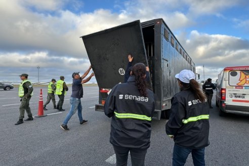 La irregularidad más común en el transporte de alimentos vía terrestre es el tránsito sin habilitación