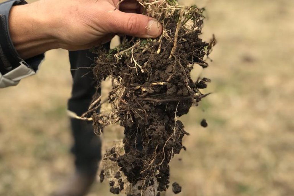 Cuando el medio ambiente, el suelo y el bolsillo agradecen que se use biológicos Cuando el medio ambiente, el suelo y el bolsillo agradecen que se use biológicos