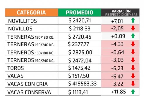 Con una suba del 11,85% las vacas conserva lideraron los precios de enero en las Rurales de la provincia
