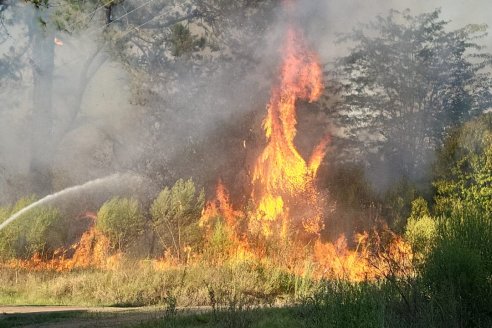 Ya está bajo control el incendio de los campos cercanos a Estancia Grande