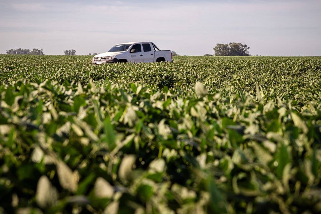 DONMARIO en Expoagro: más cerca del productor y con un ecosistema innovador DONMARIO en Expoagro: más cerca del productor y con un ecosistema innovador