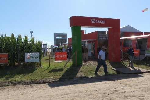 Supra Semillas se presentó en sociedad en la mejor de las vidrieras