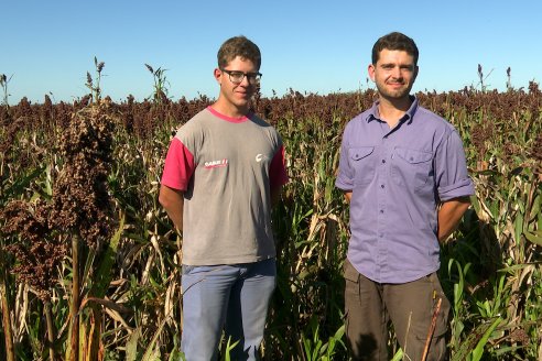 Un día de cosecha junto a los hermanos Marcos y Mauro Brondi