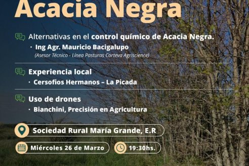 Control de acacia negra