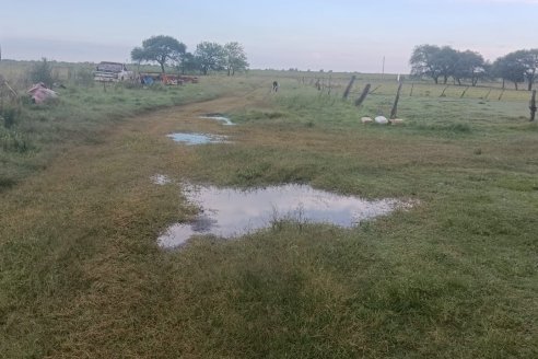 Las precipitaciones de este jueves abundaron y llegaron hasta los 100 milímetros sobre algunos campos