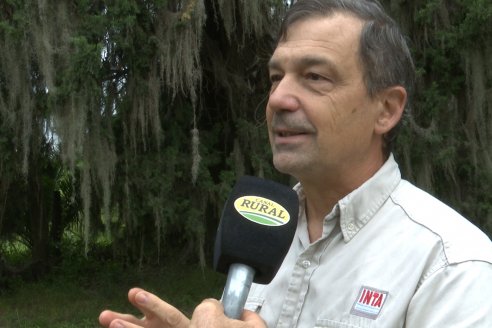 "Los tambos que no han tenido tanta espalda han desaparecido"