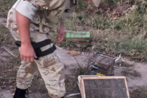 Brigadistas frustraron caza ilegal de aves de la especie Juan Chiviro