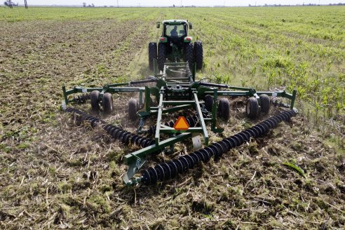 La labranza ocasional podrá alterar la composición del lote, pero no reducirá la amenaza de las malezas