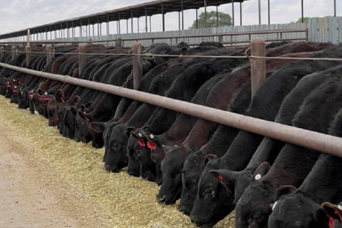 Vaticinan que EE.UU comprará más carne y que China seguirá firme