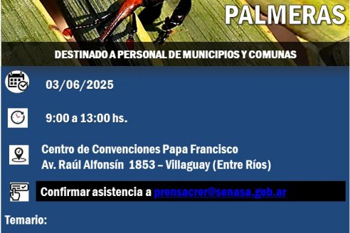 Sensibilización sobre el picudo rojo de las palmeras