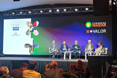 Maizar: Entre Ríos impulsa el cultivo para abastecer mejor a la avicultura
