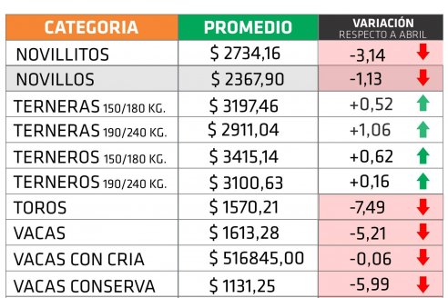 En mayo, casi todos los valores de la hacienda dejaron saldo negativo