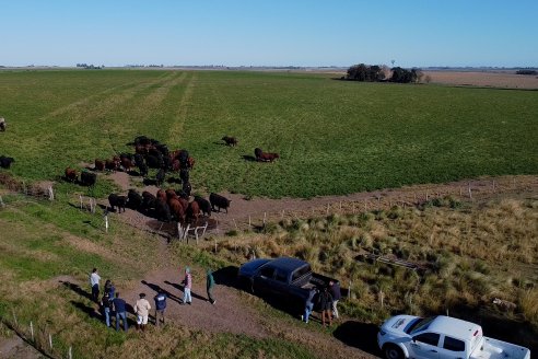 Visita a COEMBOTÁ Angus de Calderón - Previa al 11° Remante Anual