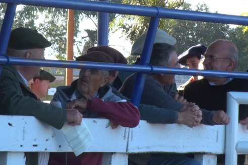 Remate Anual 60° Aniversario Hacendados Don Mario - Sociedad Rural de Maria Grande