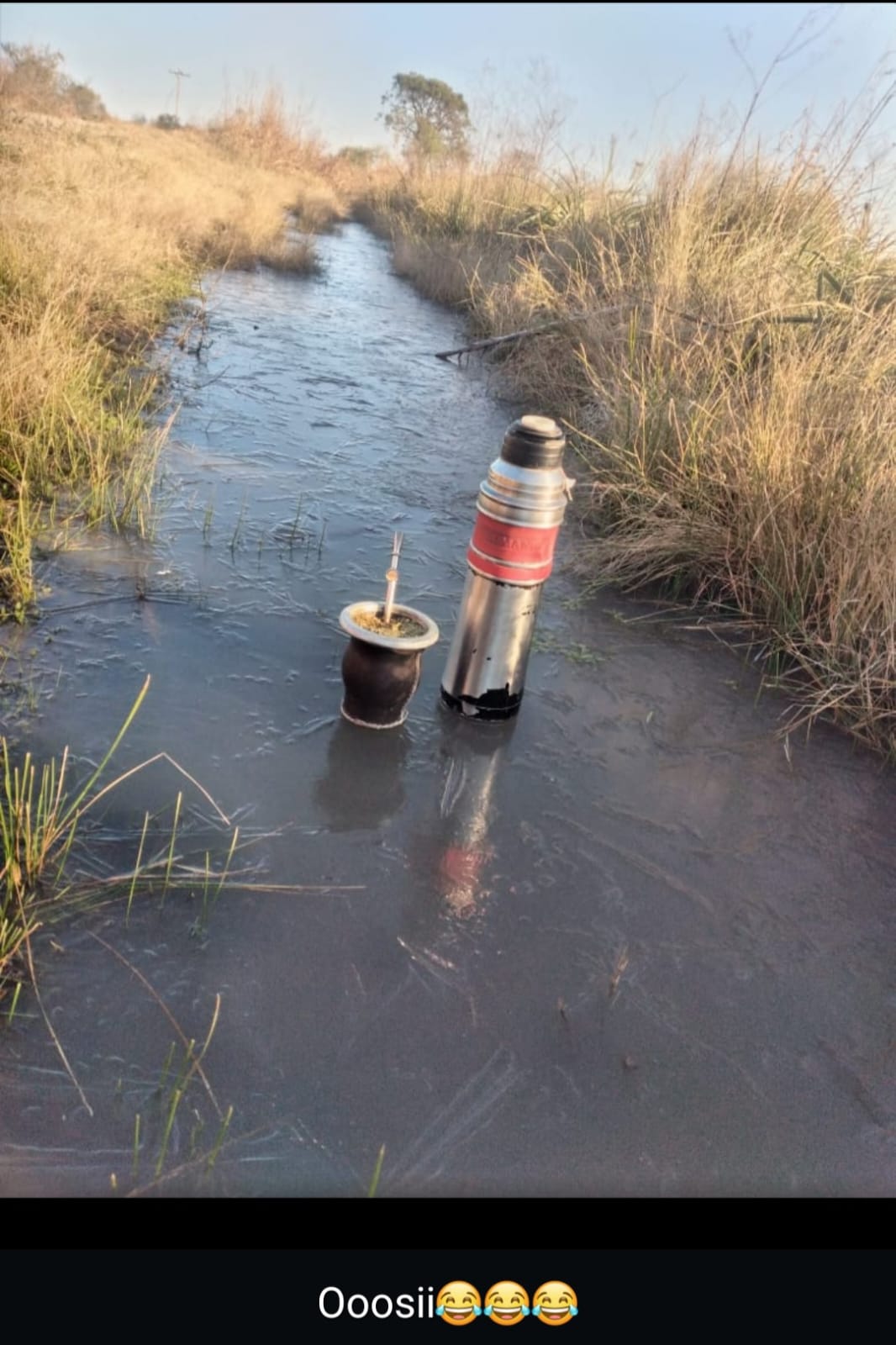 En días nada más, las heladas comenzarán a mostrar su rigor