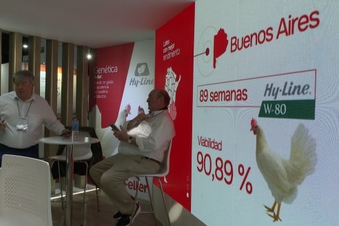 Avícola y Porcinos 2025 - Costa Salguero, Buenos Aires  - 2 al 4 de Julio