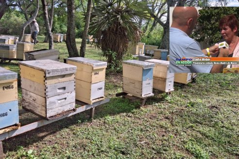 Pasión por la apicultura y la docencia en el corazón de Colonia Guardamonte