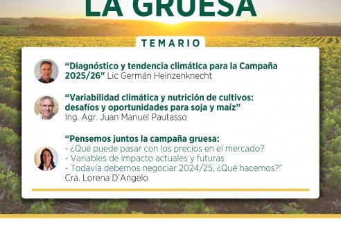 Programando la gruesa