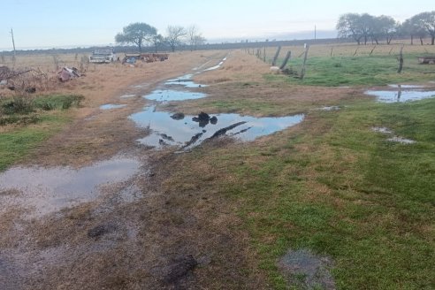 Precipitaciones que rondaron los 20 milímetros es lo destacado de este jueves sobre la Costa del Paraná