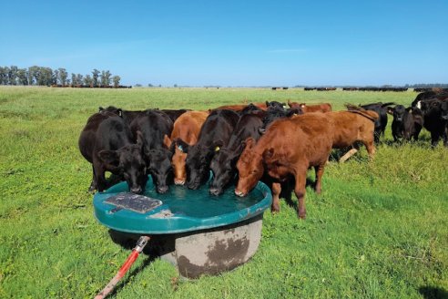 AguaSiempre dejó su marca en la Exposición Rural de Palermo